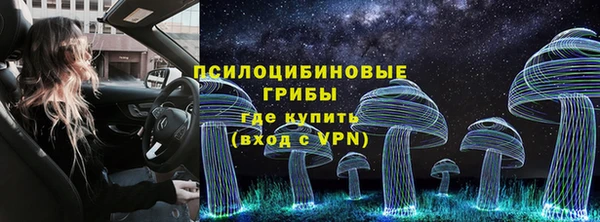 молекула духа Киреевск