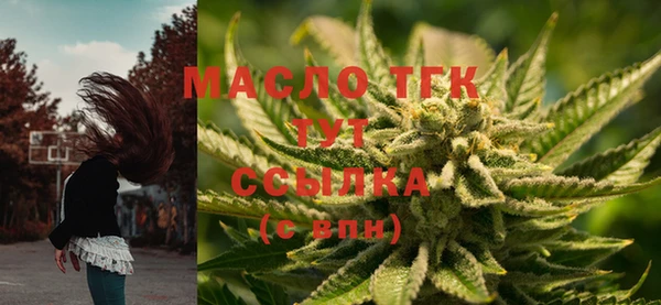молекула духа Киреевск