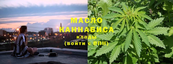 молекула духа Киреевск