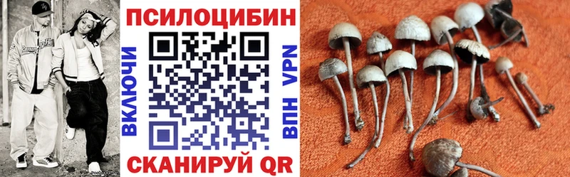 Галлюциногенные грибы ЛСД  Купить где  Аткарск 